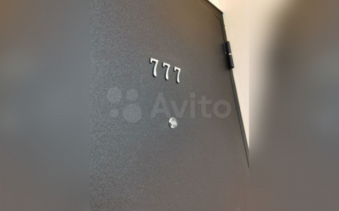 В Кирове продают квартиру-студию за 15 миллионов рублей