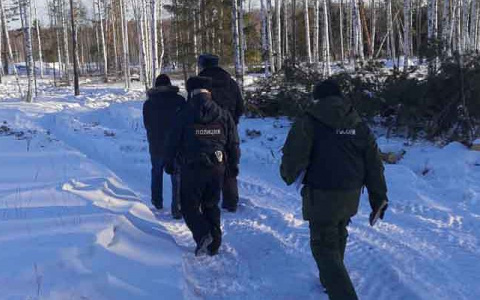 В Кировской области бывший чиновник-взяточник незаконно вырубал лес