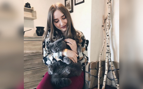 35 тысяч рублей за любовь: за сколько в Кирове можно купить породистого котенка