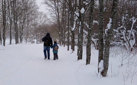 Февраль в Кирове начнется с сильного потепления: прогноз погоды