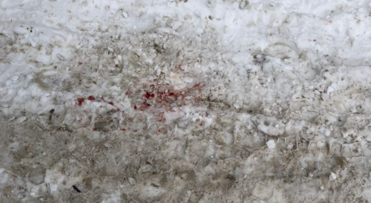 После падения снежной глыбы на ребенка в Кирове возбуждено уголовное дело