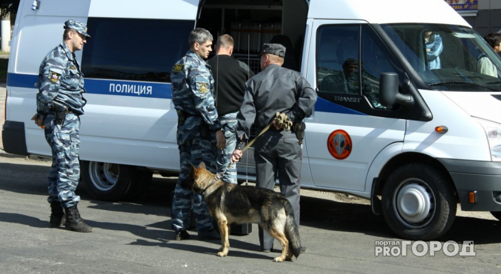В Кировской области полицейские проверят территории у храмов со служебными собаками