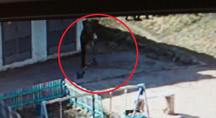 На видео попал момент, как мужчина угоняет самокат с детской площадки на Филейке