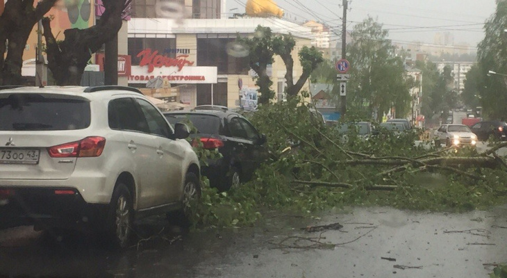 В Кирове из-за урагана на машины упало несколько деревьев