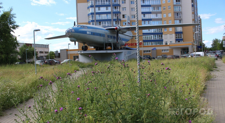 Мусор, сорняки и разруха: самолет на Филейке пустует и зарастает травой