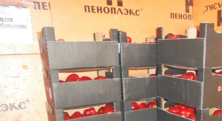 В Кирове уничтожили более тонны санкционных овощей и фруктов