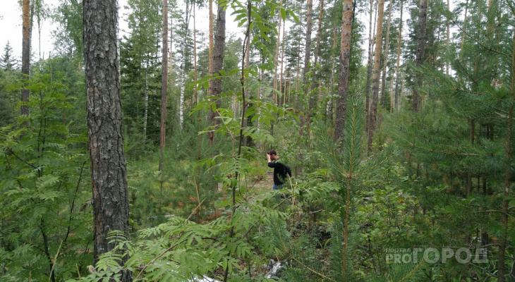 В Кировской области мужчина с велосипедом трое суток выживал в лесу