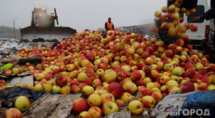 В Кирове уничтожили более тонны фруктов, ягод и грибов
