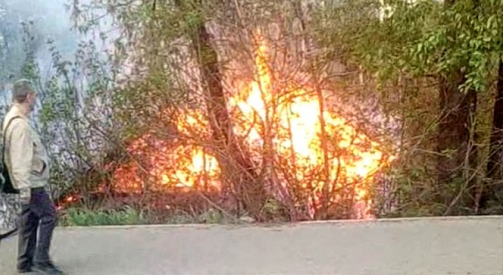 В центре Кирова сгорел деревянный дом