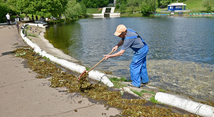 В Кирове пруд у Диорамы очистят с помощью микроорганизмов