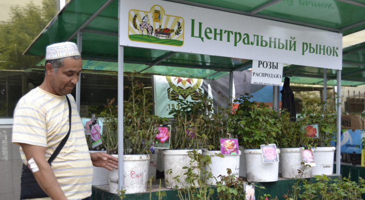Кировским садоводам предложили места торговли на рынках за 25 рублей