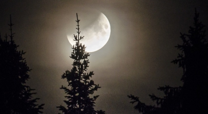 Фоторепортаж: кировчане наблюдали лунное затмение