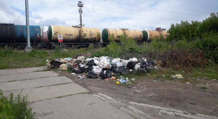 К проблеме мусора в Кировской области привлекут специалистов Германии
