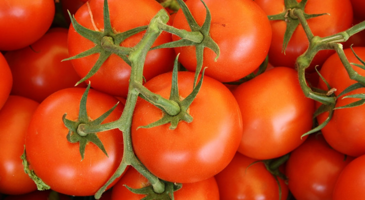 Кардиолог из США объяснил, почему нужно отказаться от помидоров