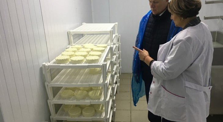 В Кировской области запустили сыроварню для производства элитного сыра