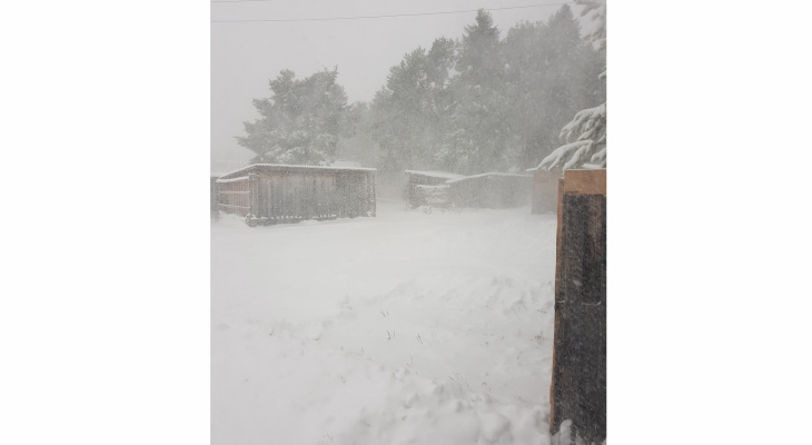 Фоторепортаж из соцсетей: в Кировской области прошел сильный снегопад