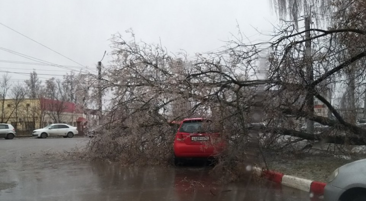 В Кирове после ледяного дождя на машину упало дерево