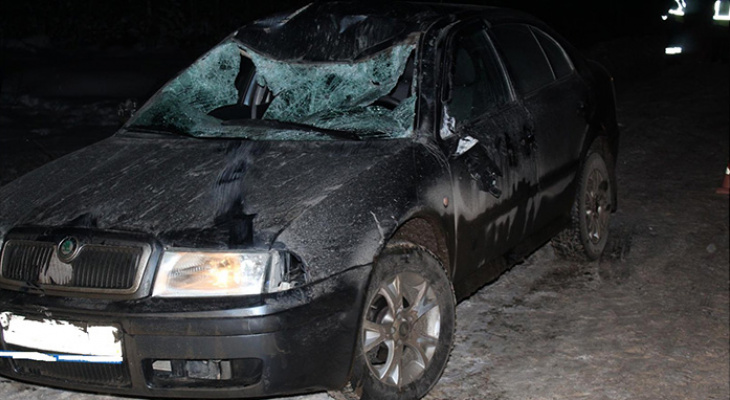 Житель Кировской области сбил лося на трассе: один человек госпитализирован
