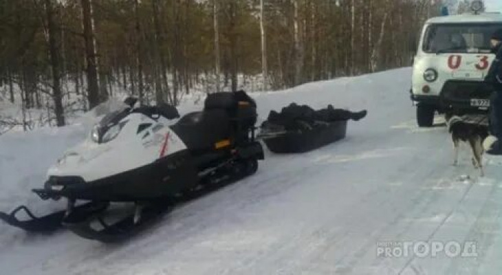В Кировской области опрокинулся снегоход: 2 человека погибли