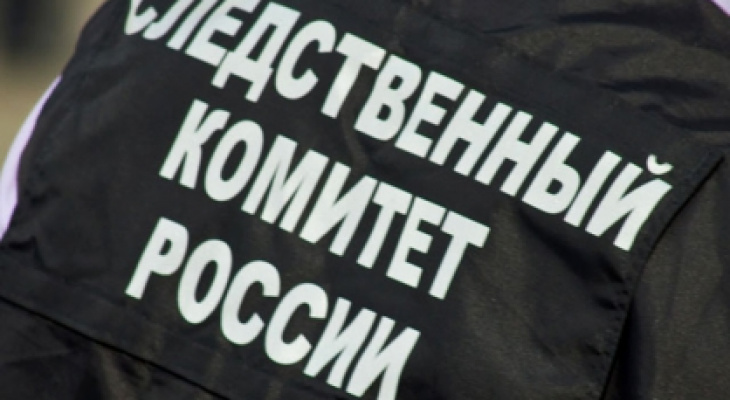 Следком проводит проверку по видео-сюжету из-за оскорблений кировского журналиста