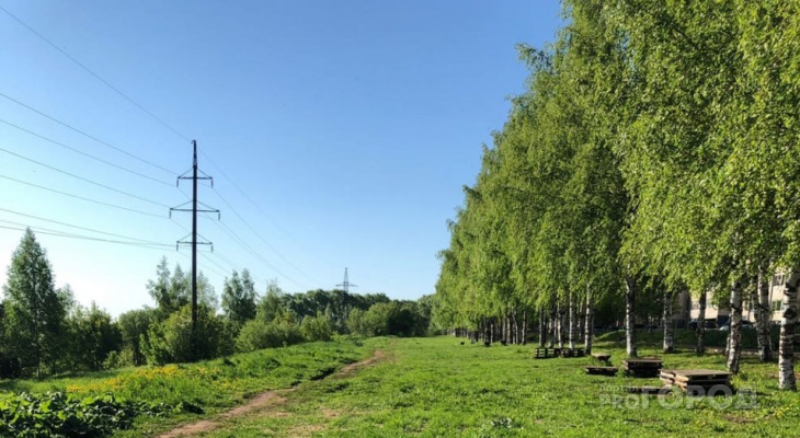 Пасмурно и прохладно: известен прогноз погоды в Кирове на последние выходные мая