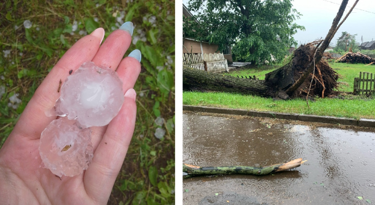 Побитый урожай, вырванные с корнями деревья и мятые крыши машин: в Кировской области прошел градовой шторм