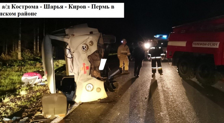 В Кировской области скорая помощь наехала на лося: пострадали 3 человека