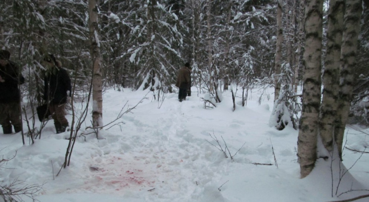 В Кировской области мужчина на охоте вместо кабана застрелил пенсионера