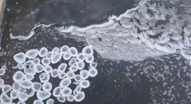 "На реке образовался блинчатый лед": в Кировской области жители записали видео редкого явления