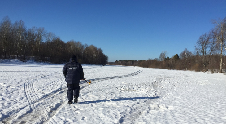 В лесу Кировской области нашли тело жестоко убитого мужчины