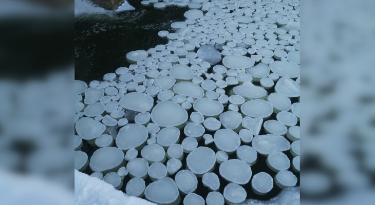 Ледяные блины: необычное природное явление вновь заметили в Кировской области