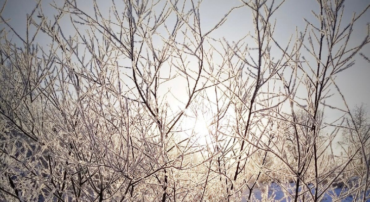 На следующей неделе в Кировской области ожидается самое сильное похолодание за 4 года