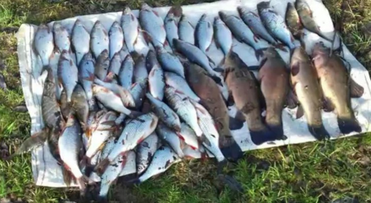 За ловлю рыбы сетями кировчане могут попасть в колонию на два года