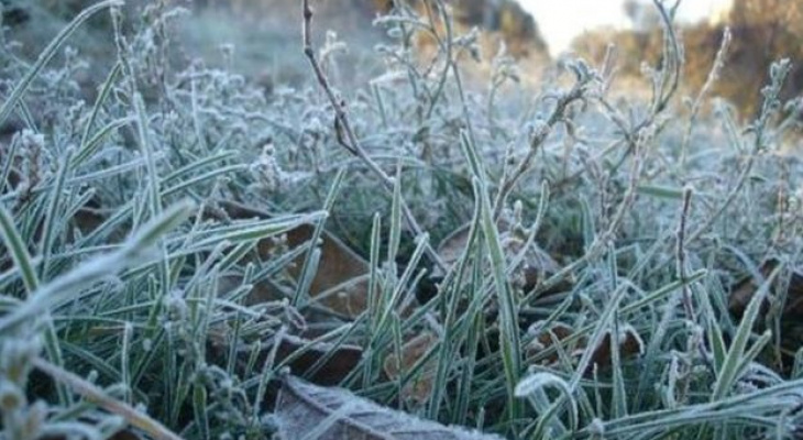 В Кировской области объявлено метеопредупреждение в связи с заморозками
