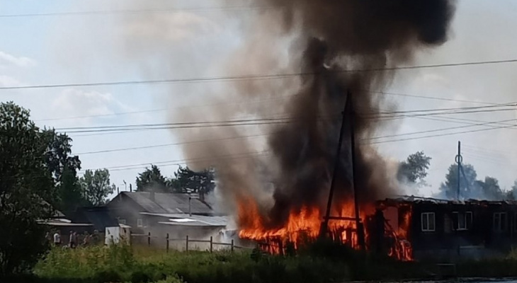 Соцсети: из-за тополиного пуха в Кировской области загорелся дом