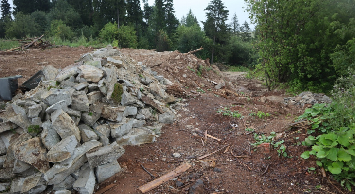 В Кирове начали восстанавливать лес, который был залит бетоном