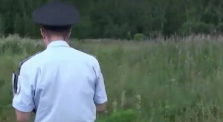 За 10 дней полицейские Кировской области выявили 8 участков, на которых росли мак и конопля