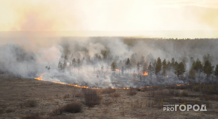 В четырех районах Кировской области горят леса
