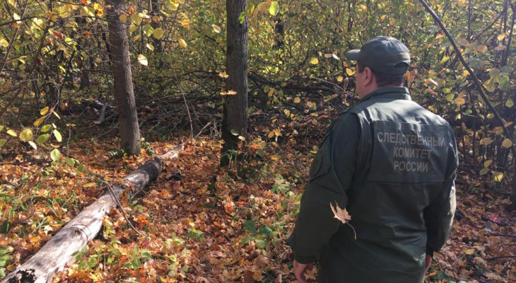 Тело нашли в лесу: появились подробности гибели 31-летнего кировчанина