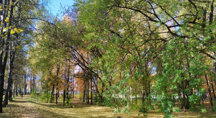 В Кирове появится парк с зонами отдыха и велосипедной трассой