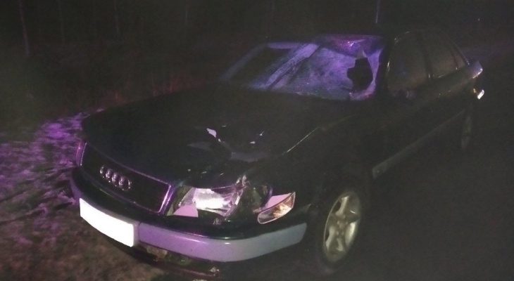 В Кировской области водитель Audi насмерть сбил пешехода