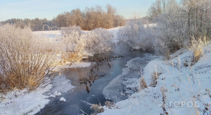 В Кирове ожидается резкое похолодание до -13 градусов