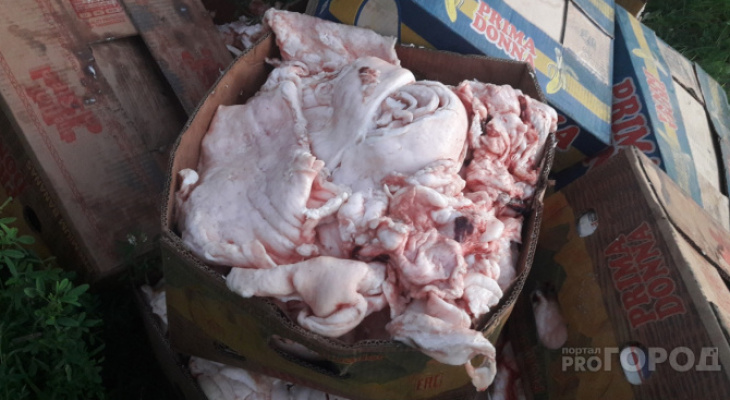 В магазине Кировской области продавали цыплят без документов и хранили тухлое мясо