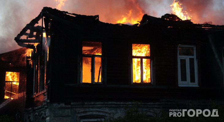 Благодаря кошке жителю Кировской области удалось спастись от пожара