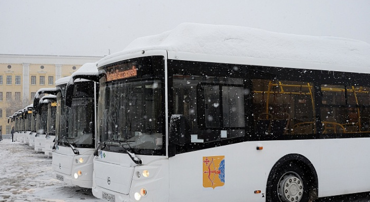 Кировскому перевозчику не хватает водителей, чтобы вывести на маршруты новые автобусы