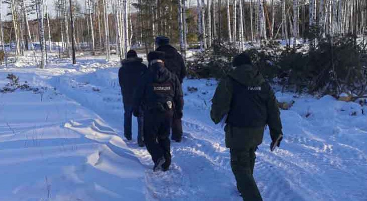В Кировской области бывший чиновник-взяточник незаконно вырубал лес