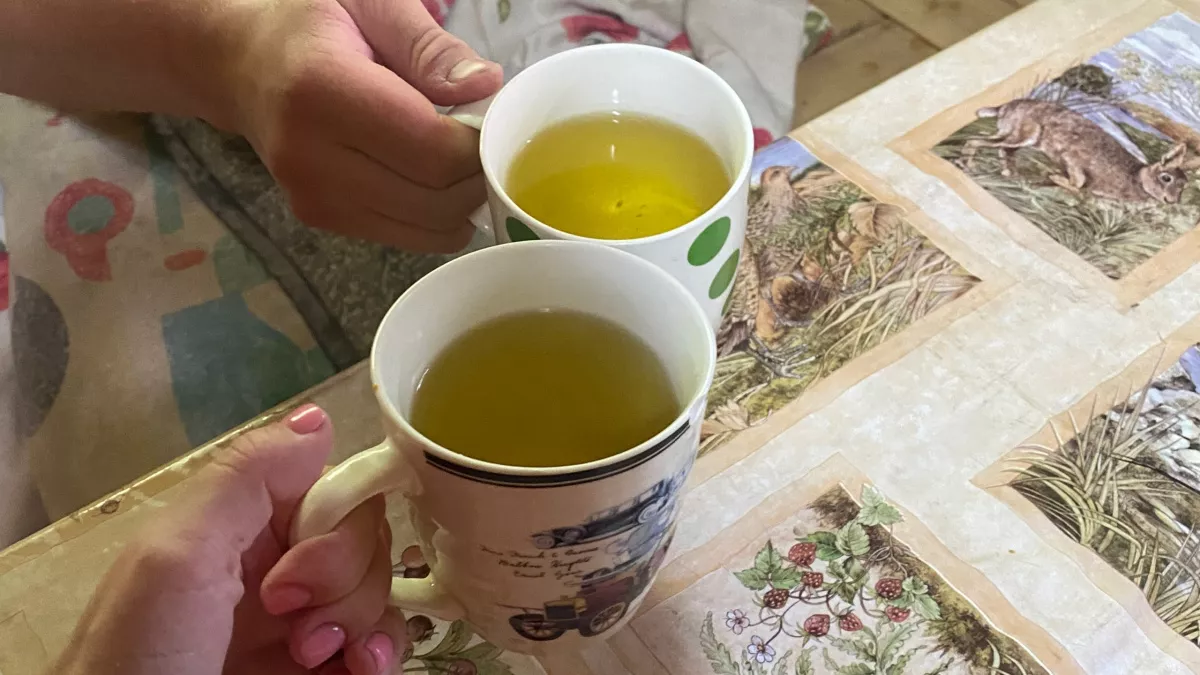 Росконтроль назвал лучшие марки чая - без мусора и пыли