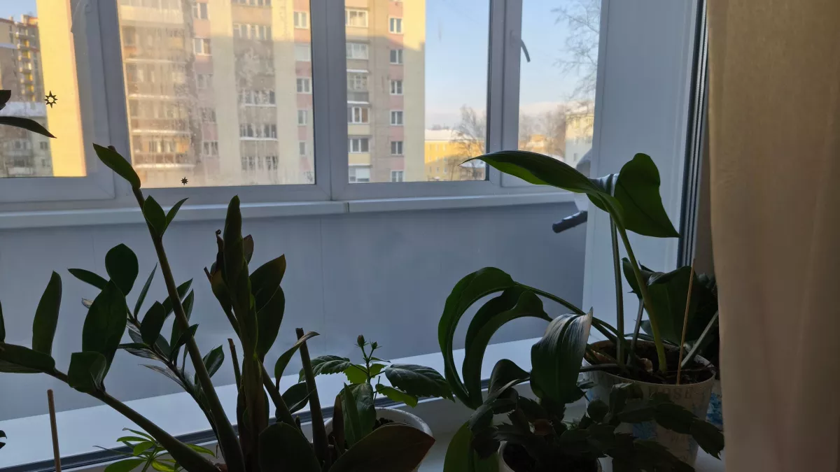 Кладу на подоконник и всю зиму живу в тепле - и не нарадуюсь: в доме жарко даже в - 40°C