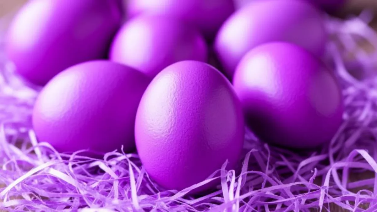 Не скорлупа, а просто космос: для покраски яиц в фиолетовый цвет химоза не пригодится - понадобится лишь один отход