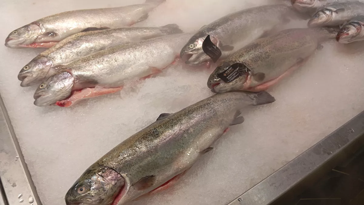 Почему рыбным днем в СССР был именно четверг - вот истинная причина